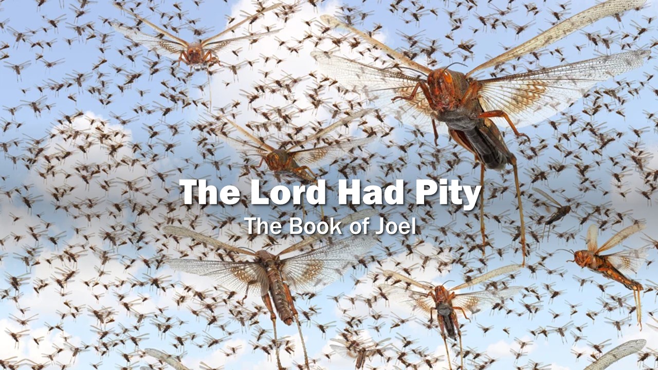 The LORD Had Pity