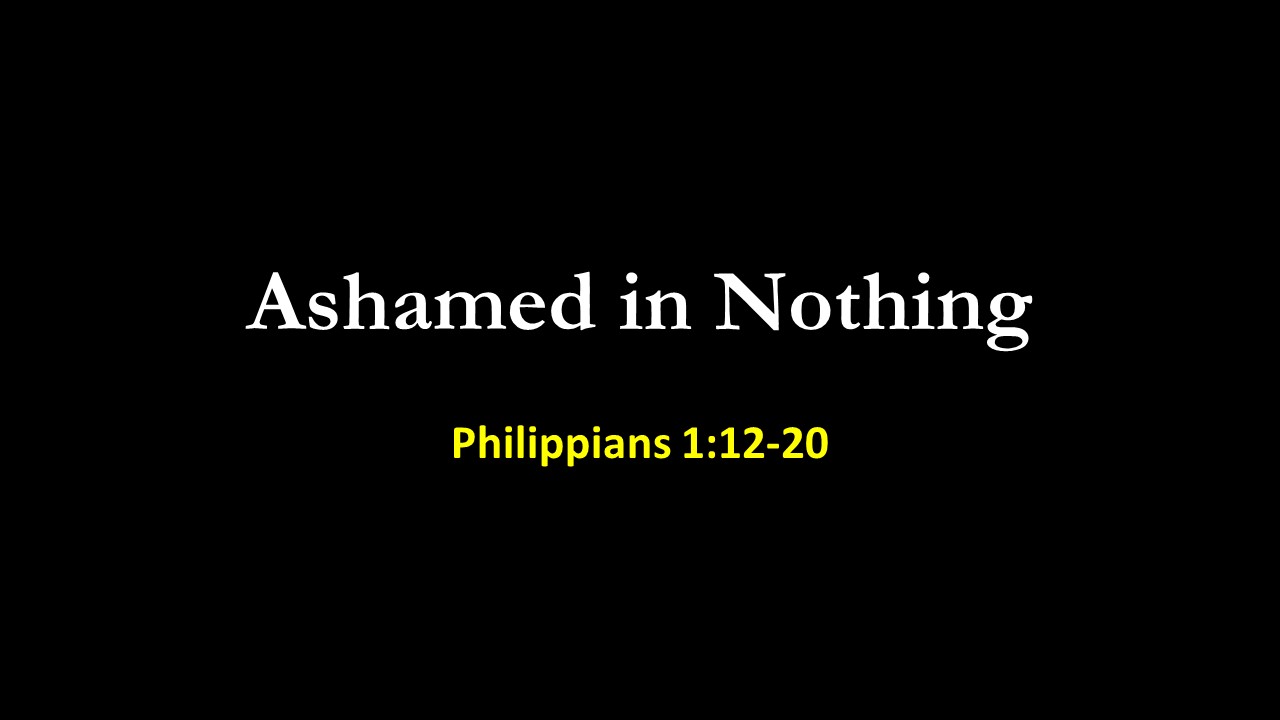 Ashamed In Nothing