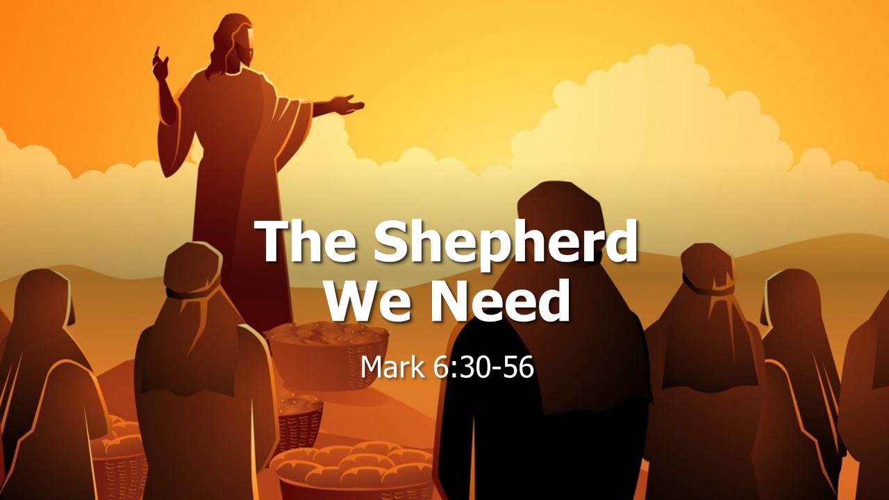 The Shepherd We Need